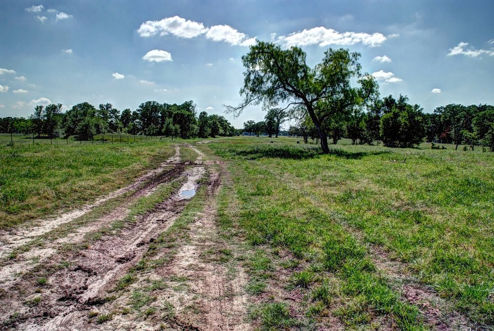 Grimes County Ranch: FM 3090 & CR 306, Anderson, TX 77830